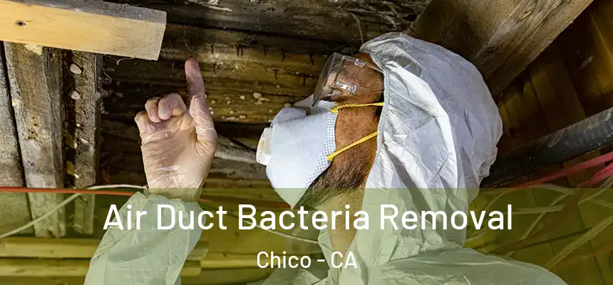 Air Duct Bacteria Removal Chico - CA