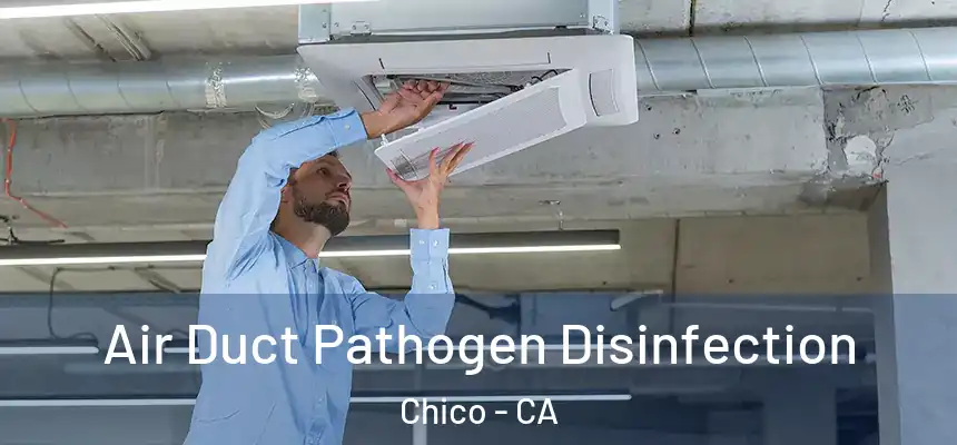 Air Duct Pathogen Disinfection Chico - CA