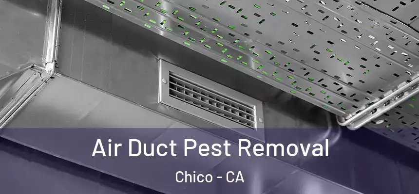 Air Duct Pest Removal Chico - CA