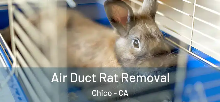 Air Duct Rat Removal Chico - CA