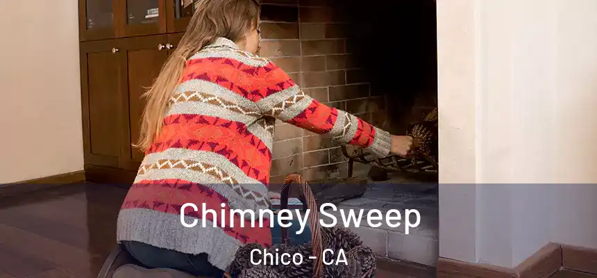 Chimney Sweep Chico - CA