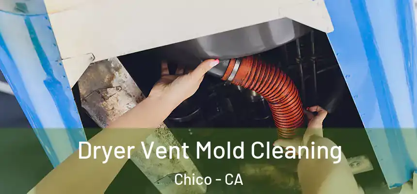 Dryer Vent Mold Cleaning Chico - CA