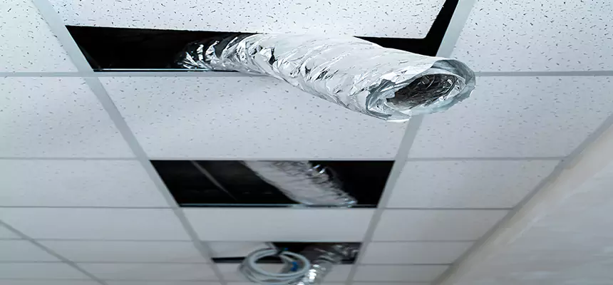 Affordable HVAC Sanitizing After Pest Removal in Chico