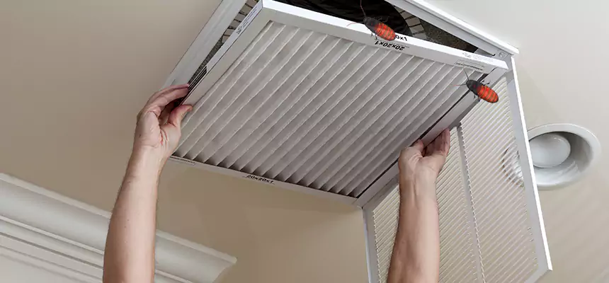 Our Insect Removal from Air Ducts Services in Chico, CA