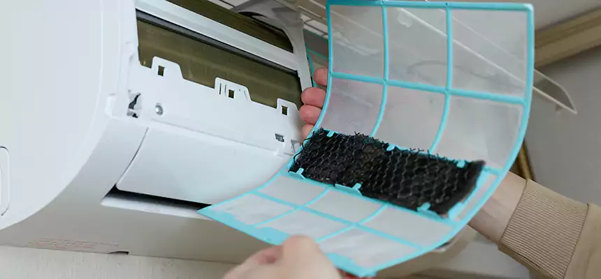 Gentle Ductwork Odor-Control Pet Dander Duct Cleaning in Chico, CA