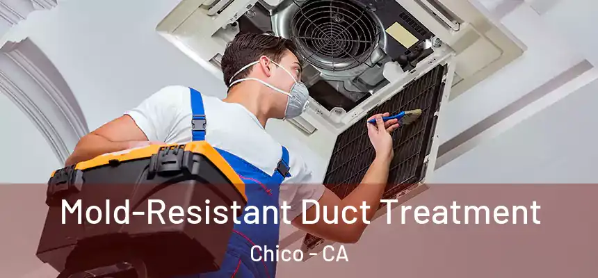 Mold-Resistant Duct Treatment Chico - CA