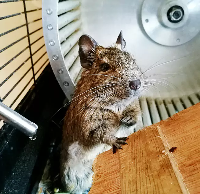 Why Homeowners & Businesses Trust Us Chico, CA?