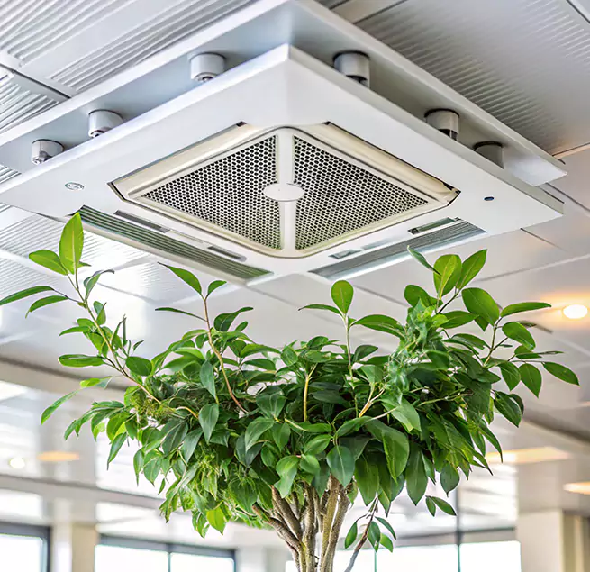 Why Homeowners & Businesses Trust Us in Chico, CA?